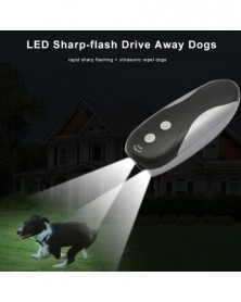 black-Dog Training LED and...