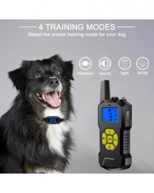 black-Dog Training Collar...