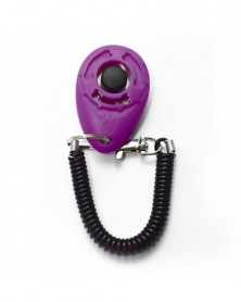 Purple - 1pc Pet Trainer...