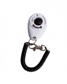 WH - Transer 1pc Pet Dog...