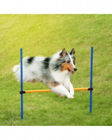 Outdoor Pet Dog Agility...