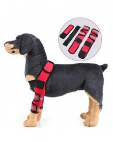 L size-Red - 1 Pair Pet Dog...