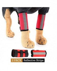 L size-1 pair Red - Dog...