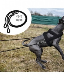 2pcs - 120cm Dog Weight...