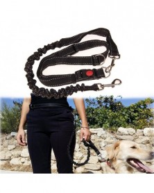 Nylon Dog Leash Elasticity...