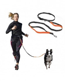 Green - Adjustable Waist...