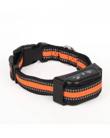 dog collar-AU Plug - Best...