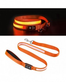 6102-orange - Dogs Leash...