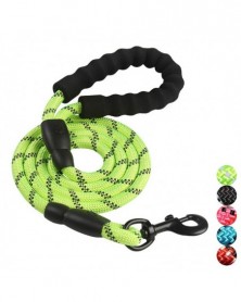 Green - Wholesale Dog Leash...