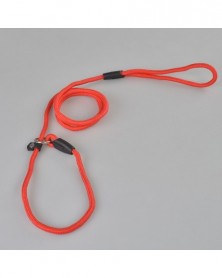 Red - Nylon Dog Training...