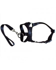 XXL size-Black - Nylon Dogs...