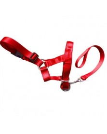 XL size-Red - Nylon Dogs...