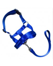 M size-Blue - Nylon Dogs...