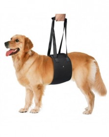 XL size - Portable Dog Lift...