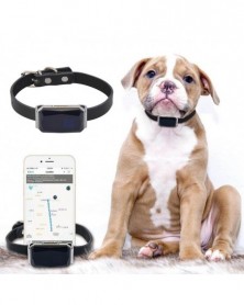 IP67 Waterproof Pet Collar...