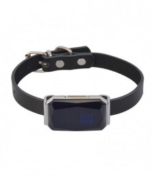 Blue - 2021 Mini Pet GPS...