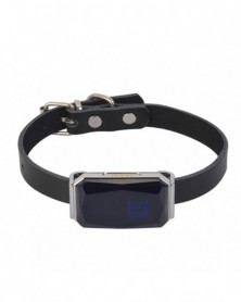 Blue - IP67 Waterproof Pet...