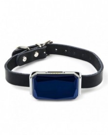 Blue - Pet GPS Tracker...