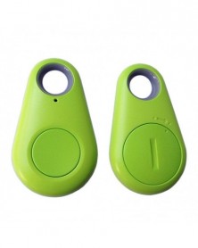 Green - Alarm Key Child Pet...