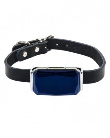 Blue - Pet Dog Smart GPS...