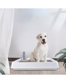 Indoor Dog Potty Training...