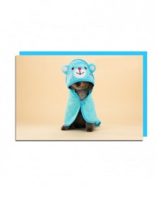 S 35x35cm-Blue-Pet Towel...