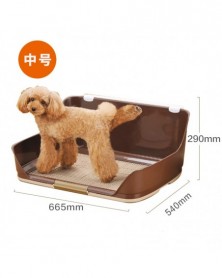 Medium brown-Indoor Dog...