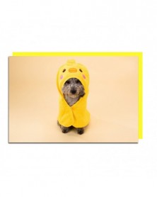 M 45x45cm-Yellow-Pet Towel...