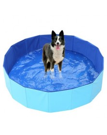 Blue-80x30-Portable Dog...