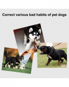 Pet Behavior Correct - 4 IN...