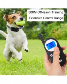 800M Wireless Remote LCD...