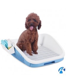 1-Automatic dog toilet...