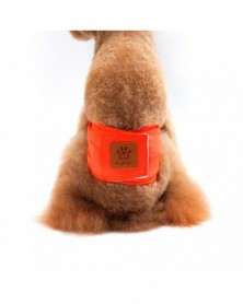 Orange-L size-Pet Male Dog...