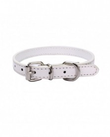 XXS size-9 - Dog Collars...