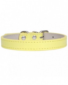 XL size-Yellow-Hot!Pet...