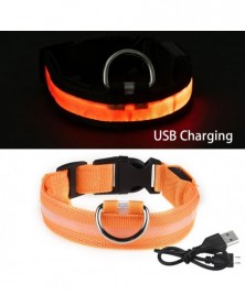 XL Neck 52-60 CM-Orange USB...