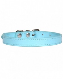 XL size-Sky blue-1/pcs Dog...