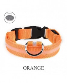 L size-orange-Dog Collar...