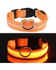 L size-Orange-B-LED Pet...