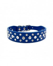 L size- dark blue-Pet...