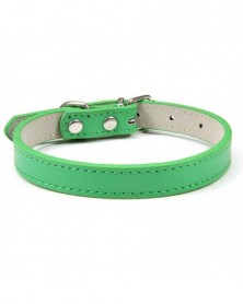 M size-B-green-Dog Neck...