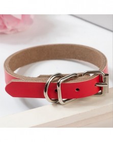 M size-Red - 10 Pcs Dog...