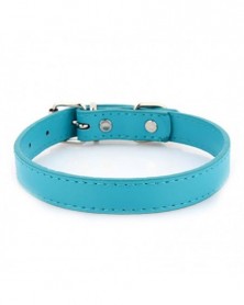 2.5x52cm-Cyan-Dog Collars...