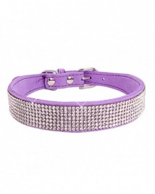 2XS size-Purple-Pet Dog...