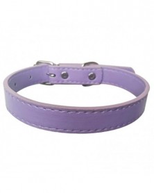 2.0x45cm-Violet-Dog Collars...