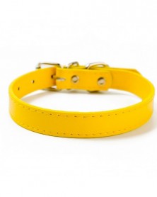 XXS size-Yellow-Soft...