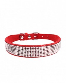 2XS size-Red-Pet Dog Collar...