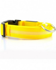 XL size-yellow-2.5cm Wide...