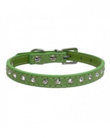 XXS size-Green-Small Dog...