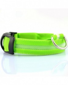 XL size-green-2.5cm Wide...